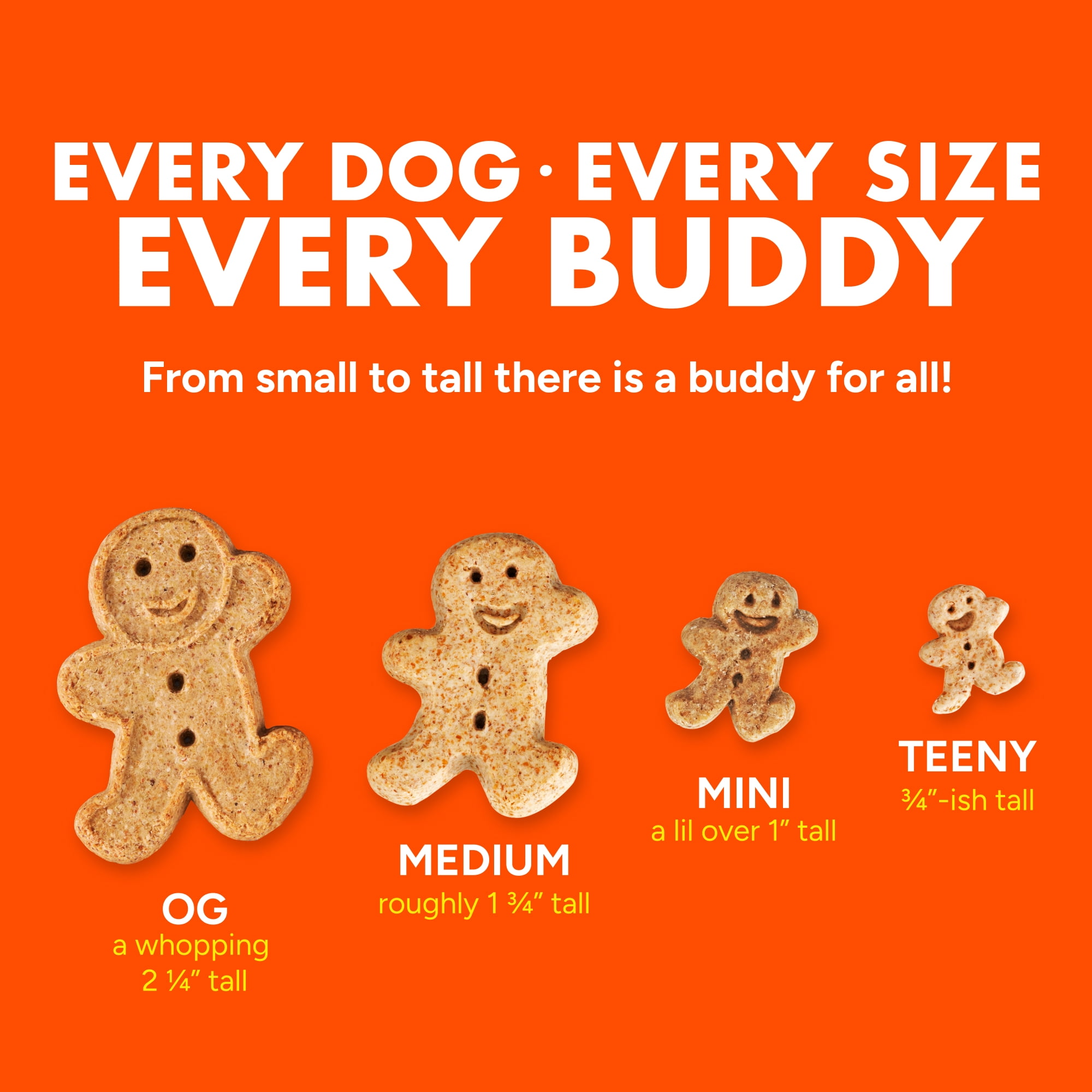 Buddy Biscuits Crunchy Medium Dog Treats, Peanut Butter, 20 oz. Jar