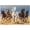 500 PCS, variant on Horse Ranch 500 Piece Jigsaw Puzzle for Adults, Country Horse Artwork, 20.5 x 15 IN