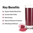 Total Beets Superfood Beet Root Powder with Nitrates to Support