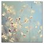 Trademark Fine Art "Little Secrets" Canvas Art by Beata Czyzowska