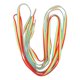 thumbnail image 1 of 1 par de zapatillas Rainbow Sports Sports Shoelaces Strap Strap de zapatillas de zapatilla de zapatillas, 1 of 5