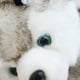 thumbnail image 5 of Peluche realista Perro animado Juguete hecho a mano Figura de juguete, 5 of 8