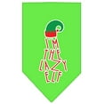 thumbnail image 2 of Mirage Pet Lazy Elf Screen Print Pet Bandana Lime Green Size Small, 2 of 2