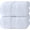 01: White, variant on Luxury Bath Sheets Towels for Adults Extra Large | Highly Absorbent Hotel Collection | 35x70 Inch | 2 Pack (Dolphin Gray)