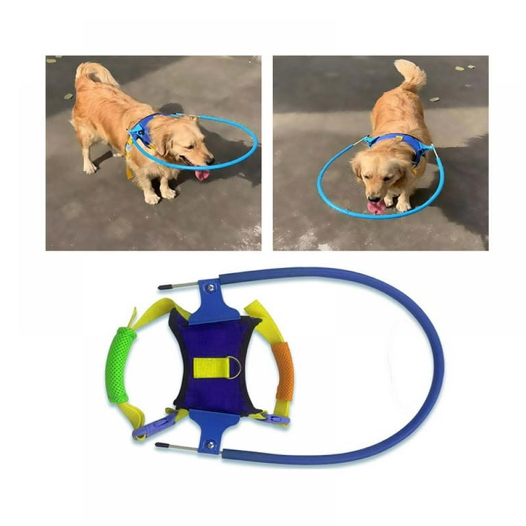  HQSLC Blind Dog Halo,Blind Dog Harness Guiding Device, Pet  Safe Halo,Pet Anti-Collision Ring for Prevent Collision & Build Confidence, Blind  Dog Accessories (S) : Pet Supplies