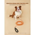 thumbnail image 3 of Durable Black Pet Training Rope, 3 of 4