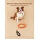 thumbnail image 3 of Durable Black Pet Training Rope, 3 of 4