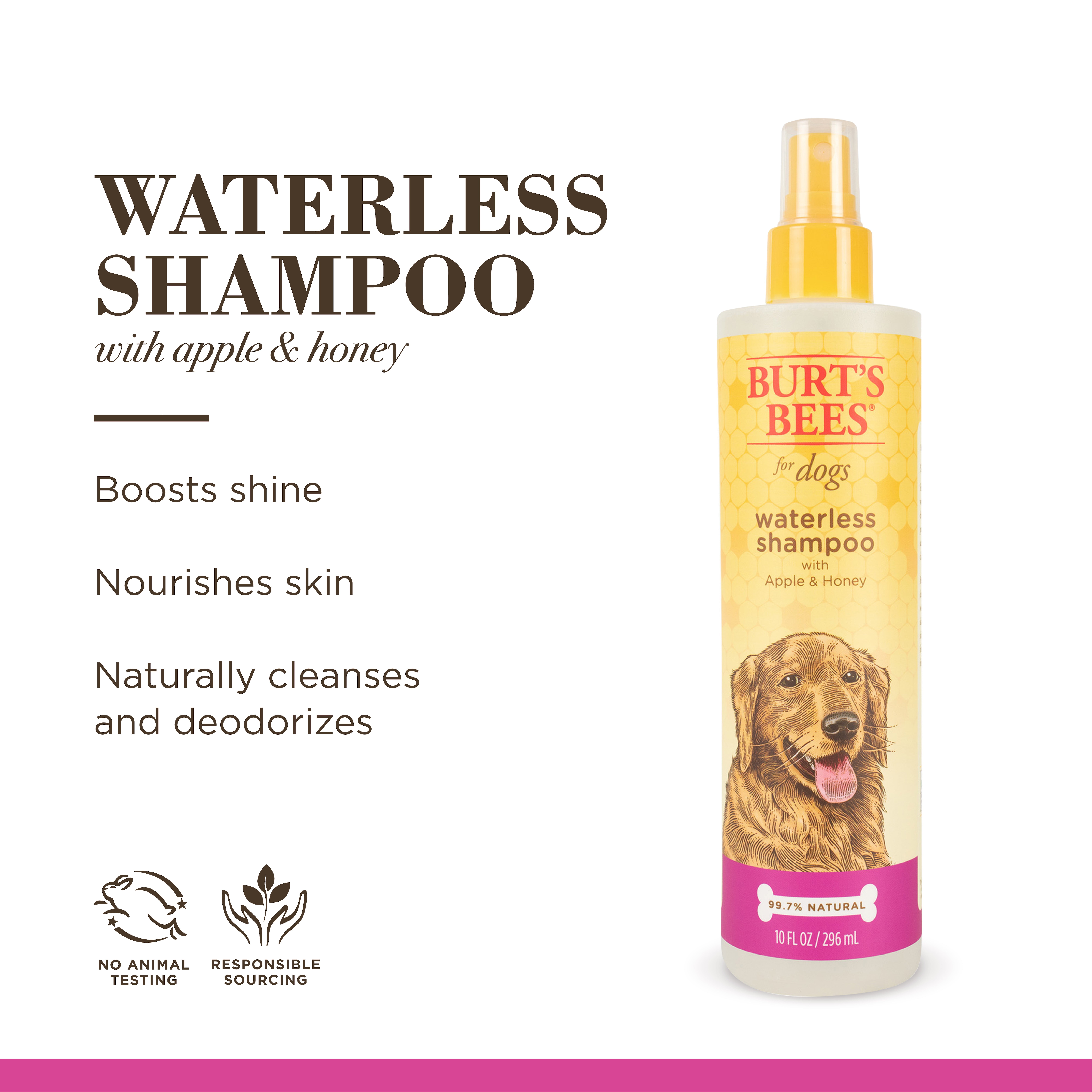 (6 pack) Burt's Bees for Dogs Natural Waterless Shampoo Spray with Apple and Honey | Dry Dog Shampoo for All Dogs and Puppies | Best Puppy and Dog Spray | Cruelty Free, Sulfate & Paraben Free, 10 Ounces