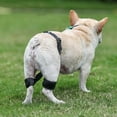 thumbnail image 4 of Pnellth Dog Knee Brace Pet Puppy Knee Pad Adjustable Dog Leg Brace Small Medium Large Dogs Support Brace Injury Joint Wrap Recover Protector, 4 of 9