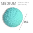 thumbnail image 6 of Play by Playology Dog Toys | Interactive Dog Balls | Crunchy Ball Toy 2-Pack, 6 of 9