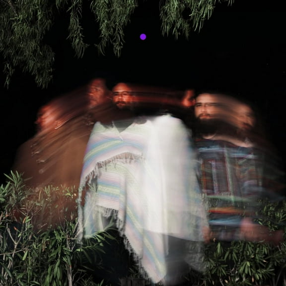 Surya Botofasina/Nate Mercereau/Carlos Niño Subtle Movements (Vinyl Record)