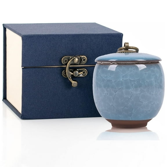 Small Urns for Human Ashes, Ceramic Memorial Mini Ashes Urns, Hold 5.5 Cubic Inches of Ashes, Beautiful Mini Sharing Funeral Urns with Exquisite Box