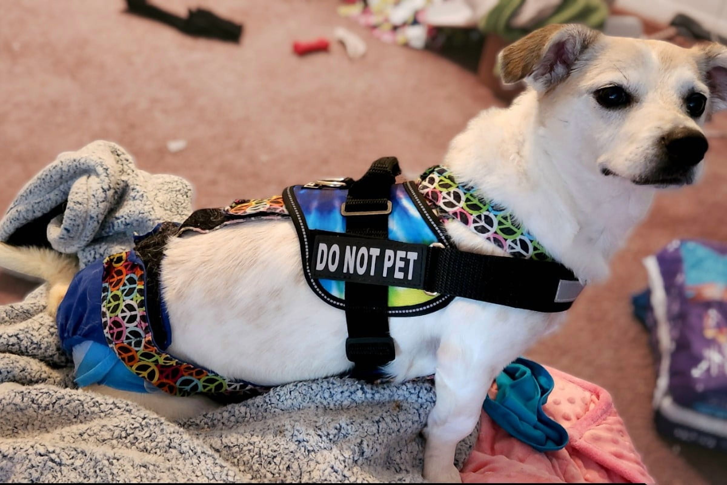 Barkertime Peace Love on Blue Dog Diaper Overall