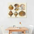thumbnail image 2 of Orinice Vintage Sea Shell Beach Ocean Wall Art Prints by Ink Inc Unframed 20x16in, 2 of 6