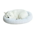thumbnail image 1 of Realistic Sleeping Plush Breathing Dog Furry Dog With Mat Creative Animals Decor Stuffed Animal Doll, 1 of 3