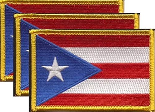 Royal Lion Womens Boy Brief Underwear What Puerto Rican Looks Like Flag
