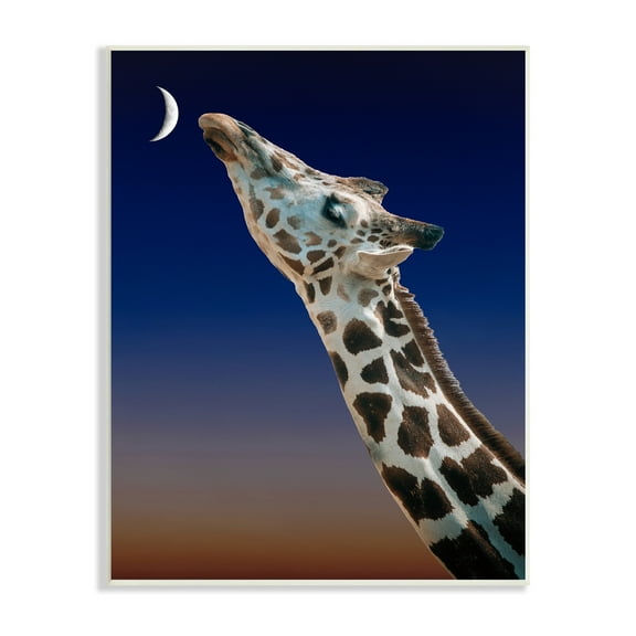 Stupell Industries Giraffe Kissing Moon Nighttime Sunset Beautiful Portrait , 13 x 19, Design by Atelier Posters