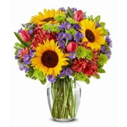 From You Flowers - Sunflower Garden for Birthday, Anniversary, Get Well, Congratulations, Thank You, All Occasions