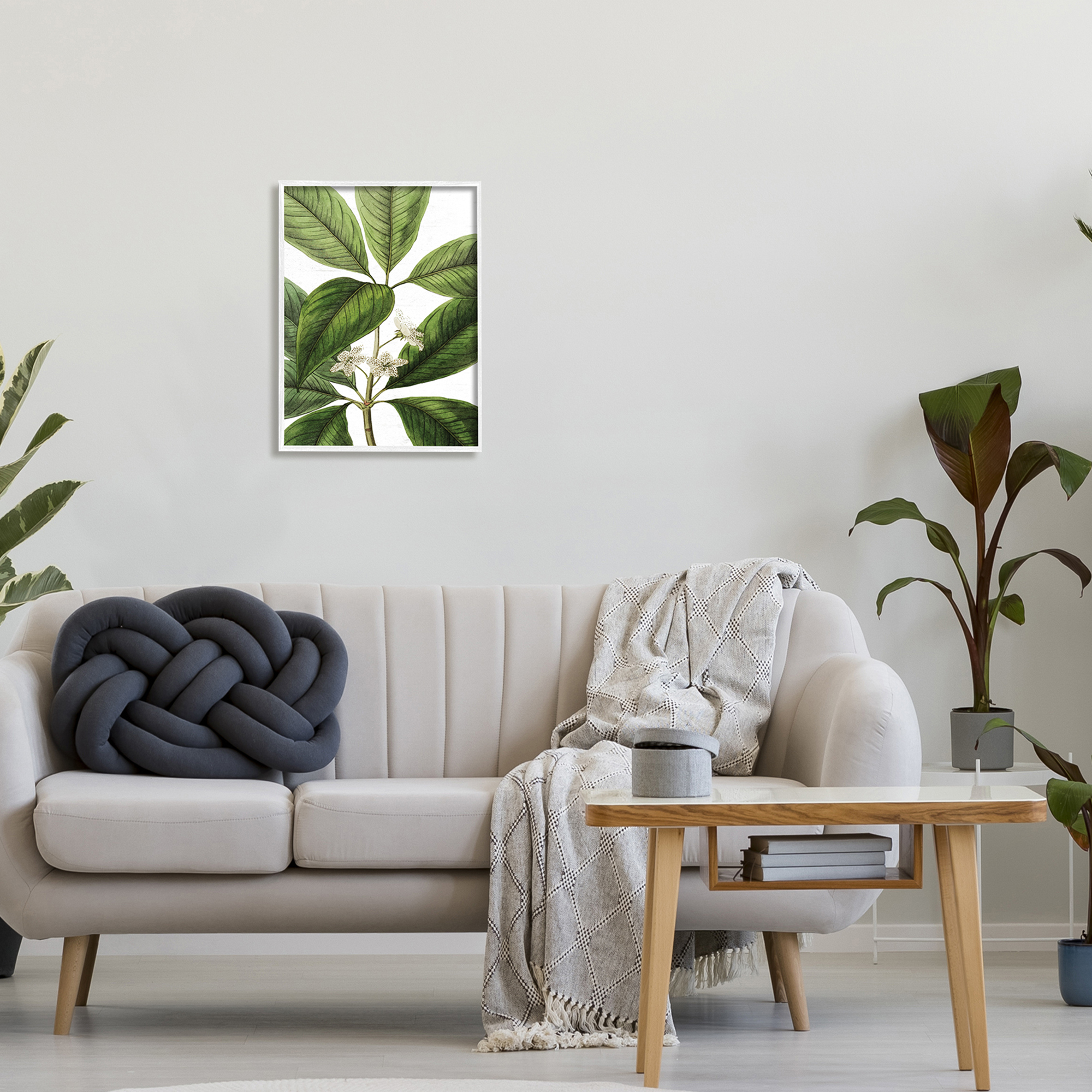 Stupell Industries Tristania Conferta Flower Large Leaf Vegetation Botanical Print,16 x 20, Design by Lettered and Lined