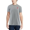 thumbnail image 4 of Men's Gray Washington State Cougars Team Comfort Colors Campus Scenery T-Shirt, 4 of 5
