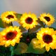 thumbnail image 2 of Worallymy 2 uds. lámparas solares de simulación de girasol para exteriores 8 luces LED para iluminación de paisaje luces para plantas para jardín césped y Patio Worallymy JD735806458, 2 of 7