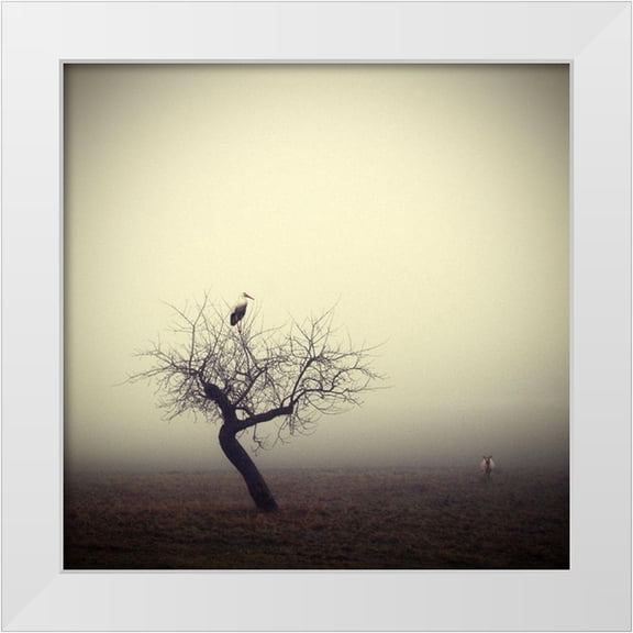 Droste, Holger 12x12 White Modern Wood Framed Museum Art Print Titled - Meeting in the morning
