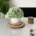 thumbnail image 4 of NWOKYZGH Fake Plants Mini Potted Artificial Plants, Artificial Plastic Eucalyptus Plants Small Houseplants Greenery in Pots, Small Faux Plants Decor for Home office Farmhouse Desk Shelf, 4 of 6