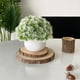 thumbnail image 4 of Artificial Plant Pot, Small Potted Decoration, Living Room Countertops Windowsills, Desktop Greenery, Home Decor, Artificial Plants for Home, Realistic Touch, Stylized Design, High Traffic Plants,, 4 of 8