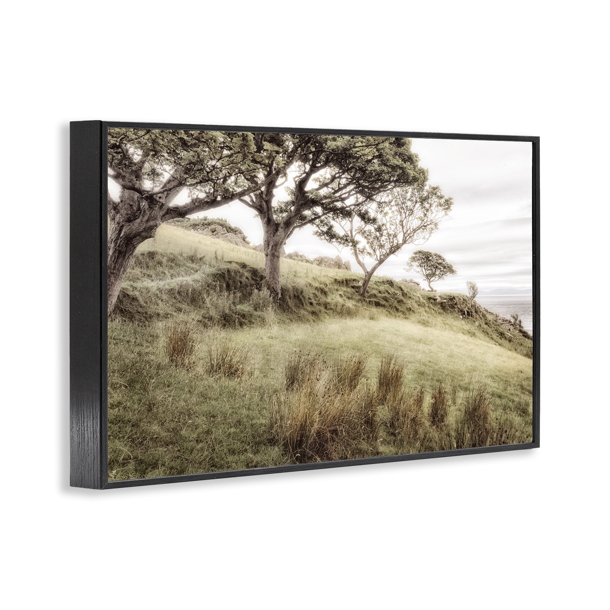 Stupell Industries Irish Hillside Landscape Black Framed Giclee Art, design by Andy Amos