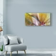 thumbnail image 3 of Trademark Fine Art 'Symphonic I' Canvas Art by James Burghardt, 3 of 4