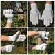thumbnail image 3 of Manga Irfora Guantes resistentes a cortes Alto rendimiento Protección de nivel 5 Malla de alambre de acero inoxidable Guantes de trabajo seguros resistentes a cortes para soldar Jardinería Cocina Irfora Manga, 3 of 6