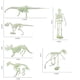 thumbnail image 4 of Maojin Toy Story Juguetes Dinosaurios Simulados Huesos Juguete Luminoso Esqueleto Humano Modelo Juguete De Halloween, 4 of 4