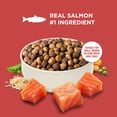 thumbnail image 5 of Rachael Ray Nutrish Dry Dog Food Real Salmon, Veggies & Brown Rice Recipe, 4.5lb, 5 of 11