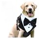 thumbnail image 3 of Arnés Chaleco De Esmoquin for Perro - Traje Formal, 3 of 6