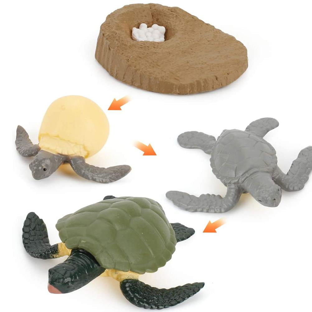 Plastic Nature Life Cycle of Turtle Figure Model Playset Imagination Toys