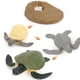thumbnail image 1 of Modelo De Ciclo De Crecimiento, Modelo De Ciclo De Vida Realista, Modelos De Animales, Juguetes De Imaginación Infantil, Herramienta De Enseñanza Y Aprendizaje sonducket FN007105-01, 1 of 6