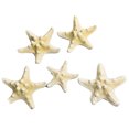 thumbnail image 3 of Starfish Fish Tank Decoration, Artificial Unique Beautiful Starfish Ornament Set for Aquarium Decoration Wind Chime, 3 of 8