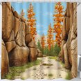 thumbnail image 1 of Tranquil Pathway Shower Curtain - Autumn Forest Escape Decor, 1 of 5