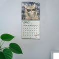 thumbnail image 4 of dajkiuy 2026 Cat Calendar, January 2026 - December 2026, 8x9 Inch 12 Monthly Cat Themed Calendar, New Year Christmas Gifts for Cat Lovers, 4 of 6