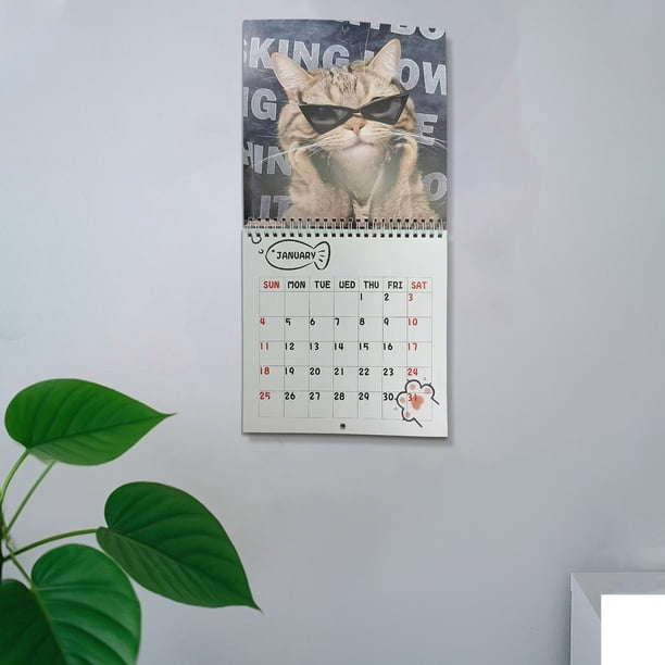 Fzsteel 2026 Whimsical Cats Calendar With Cute Hat Illustrations