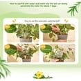 thumbnail image 5 of Self Watering Globes, Automatic Watering System for Potted Plants with Terracotta Base, for Plant Self Watering devices and Sustained Hydration for Water Plants indoor, 5 of 8