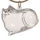 thumbnail image 2 of Botella Transparente Almacenamiento para El Gato (estilo A), 2 of 4
