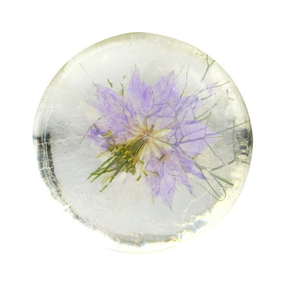 Xihbxyly Jabón de Aceite de Aminoácidos, Jabón Transparente, Jabón de Hierbas, Jabón de Manos Creativo, Jabón Limpiador Facial, Jabón de Baño, Jabón Creativo de Flores 80 G