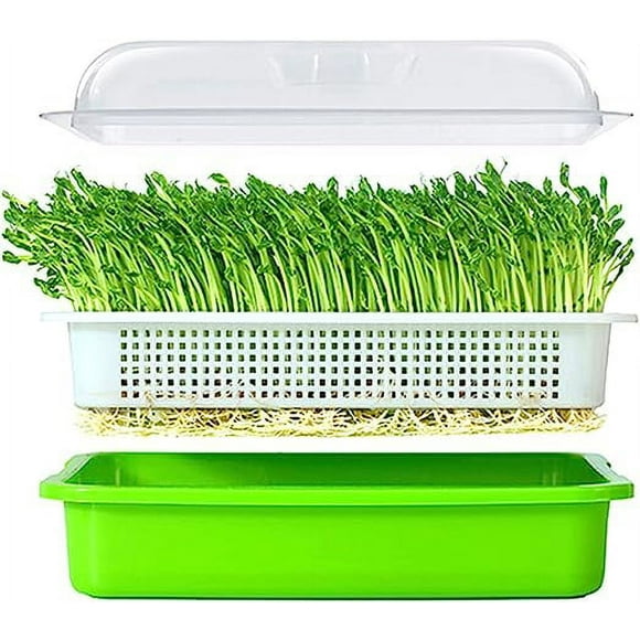Zhuge Seed Sprouter Tray with Lid BPA Free Bean Sprout Grower Germination Kit Wheatgrass Grower