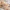 60mmx2m loop 70cm, variant on PET Washi Tapes Masking Antiquities Landscaping Decorative Planner Adhesive DIY Craft Scrapbooking Diary Journal Stickers Gifts