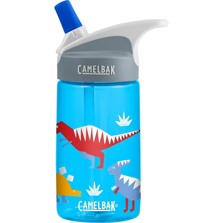 CamelBak Eddy Kids' Airplane Bandits Water Bottle 12oz - Blue/Red