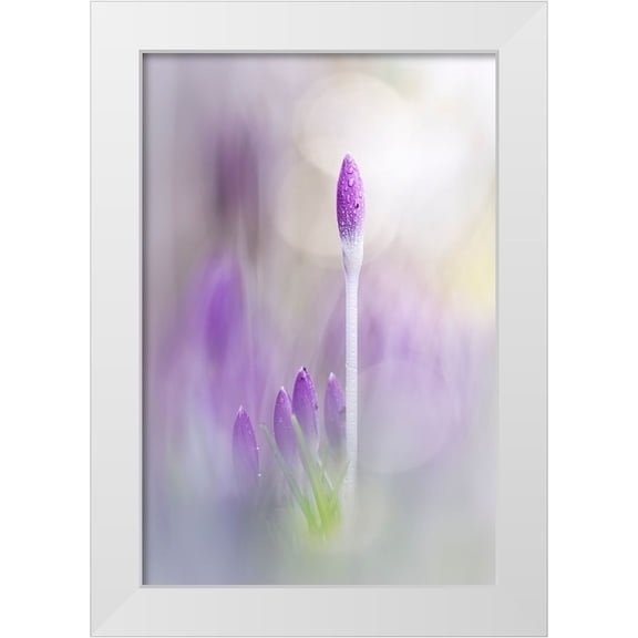 Daalder, Bob 11x14 White Modern Wood Framed Museum Art Print Titled - Spring Is Sure To Follow