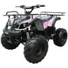 Coolster 125cc ATV 3125XR8-S (Semi-Auto)