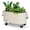 Ivory, variant on Permasteel Self-Watering Garden Bed, Rolling Planter for Vegetables, Flowers, Herbs, and Fruit, Outdoor Indoor, Caster Wheels, Blue