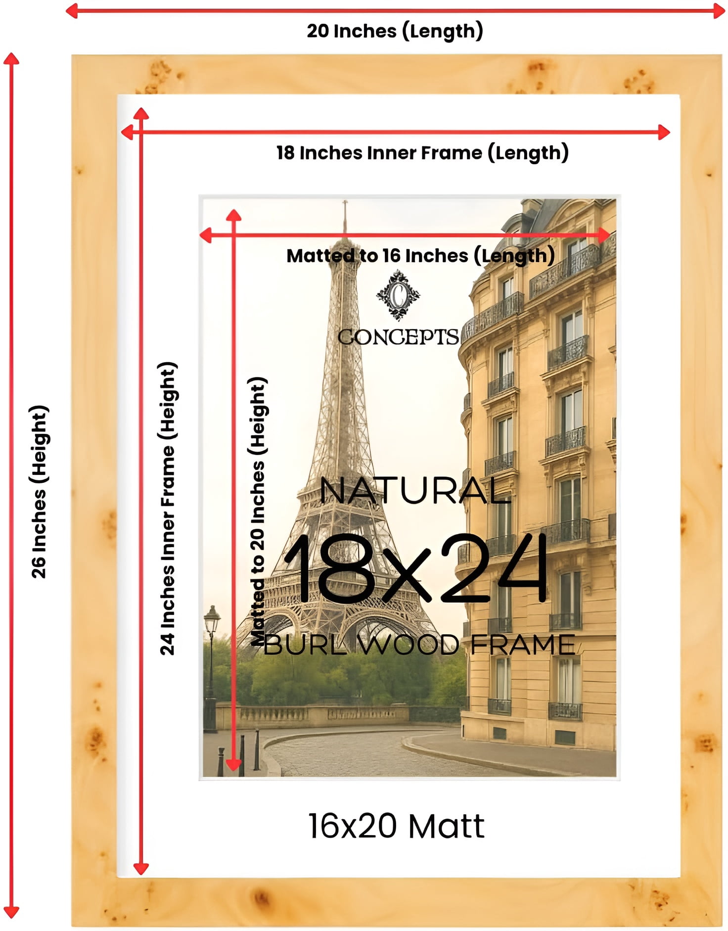 Concepts 18x24 Picture Frames, Natural Burl Wood Photo Frames, Large Size Poster Frames - Vertical/Horizontal